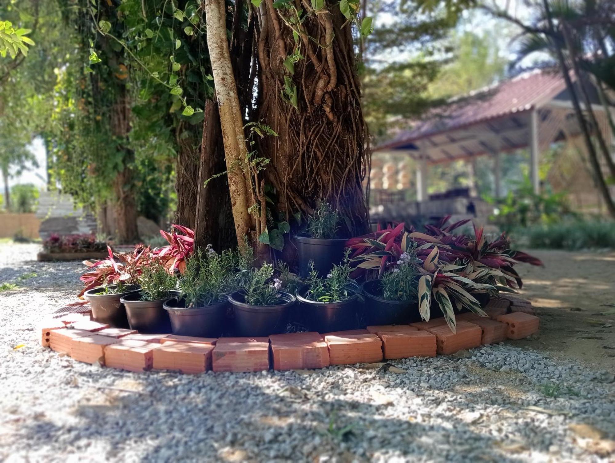 Vangvieng Ruby'Homestay Vang Vieng Luaran gambar