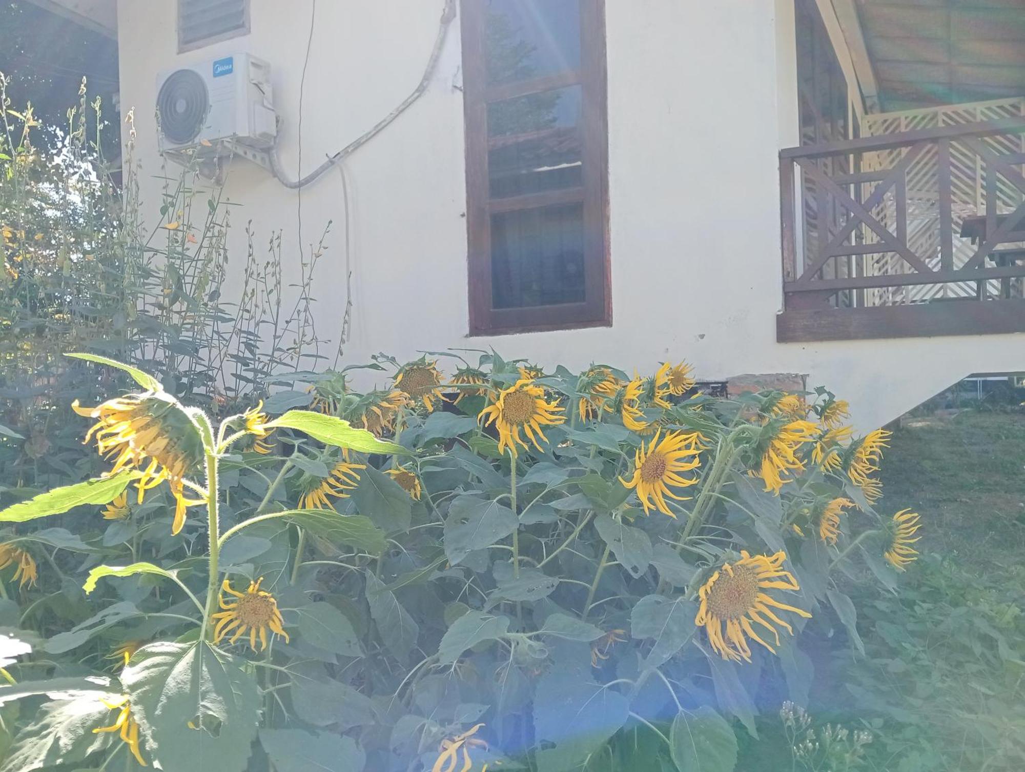 Vangvieng Ruby'Homestay Vang Vieng Luaran gambar