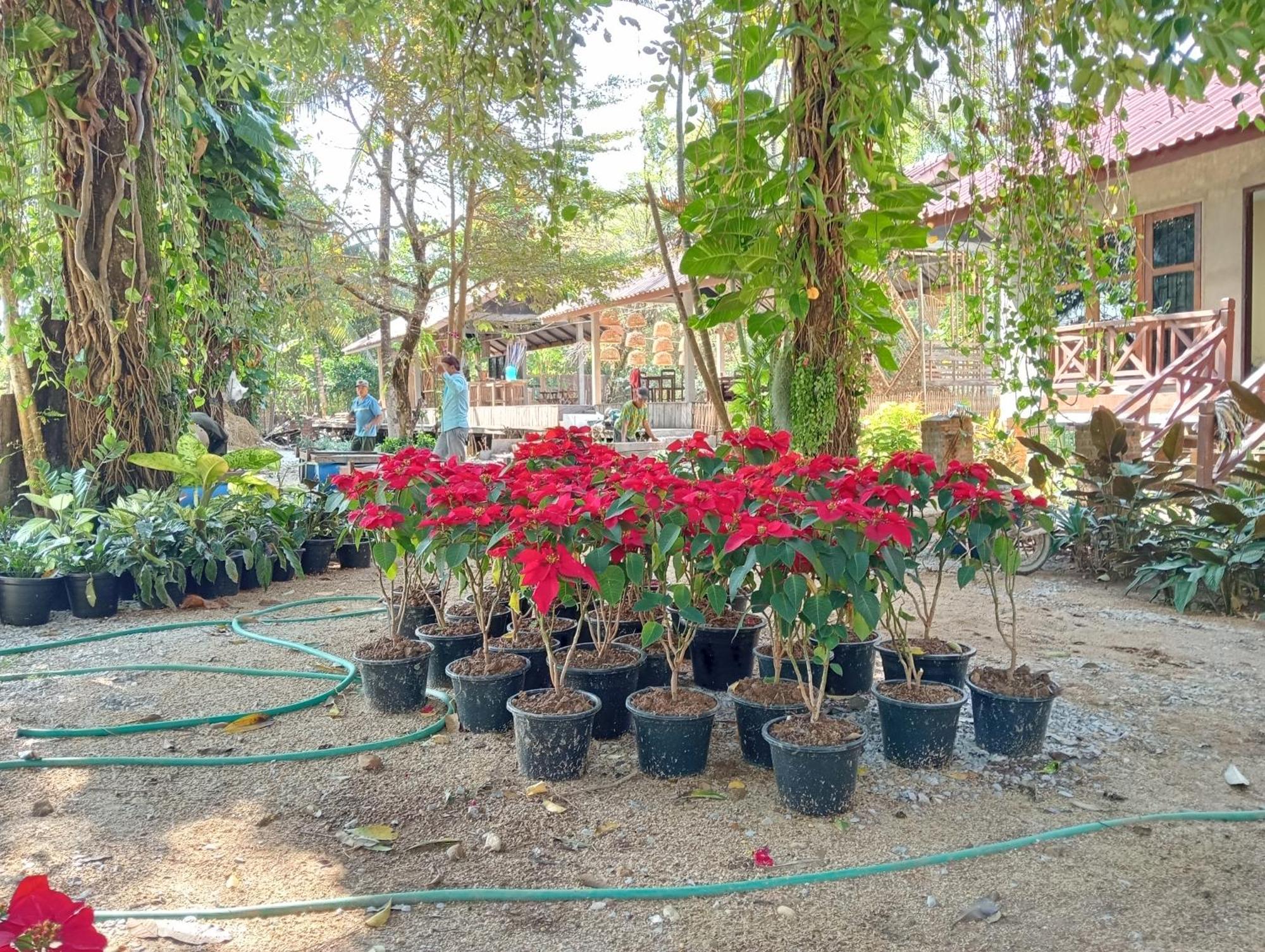 Vangvieng Ruby'Homestay Vang Vieng Luaran gambar